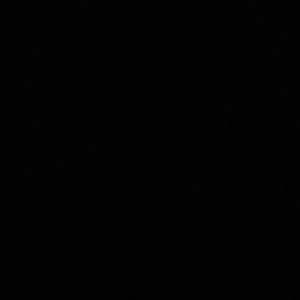 Meet your Posher, Shayla